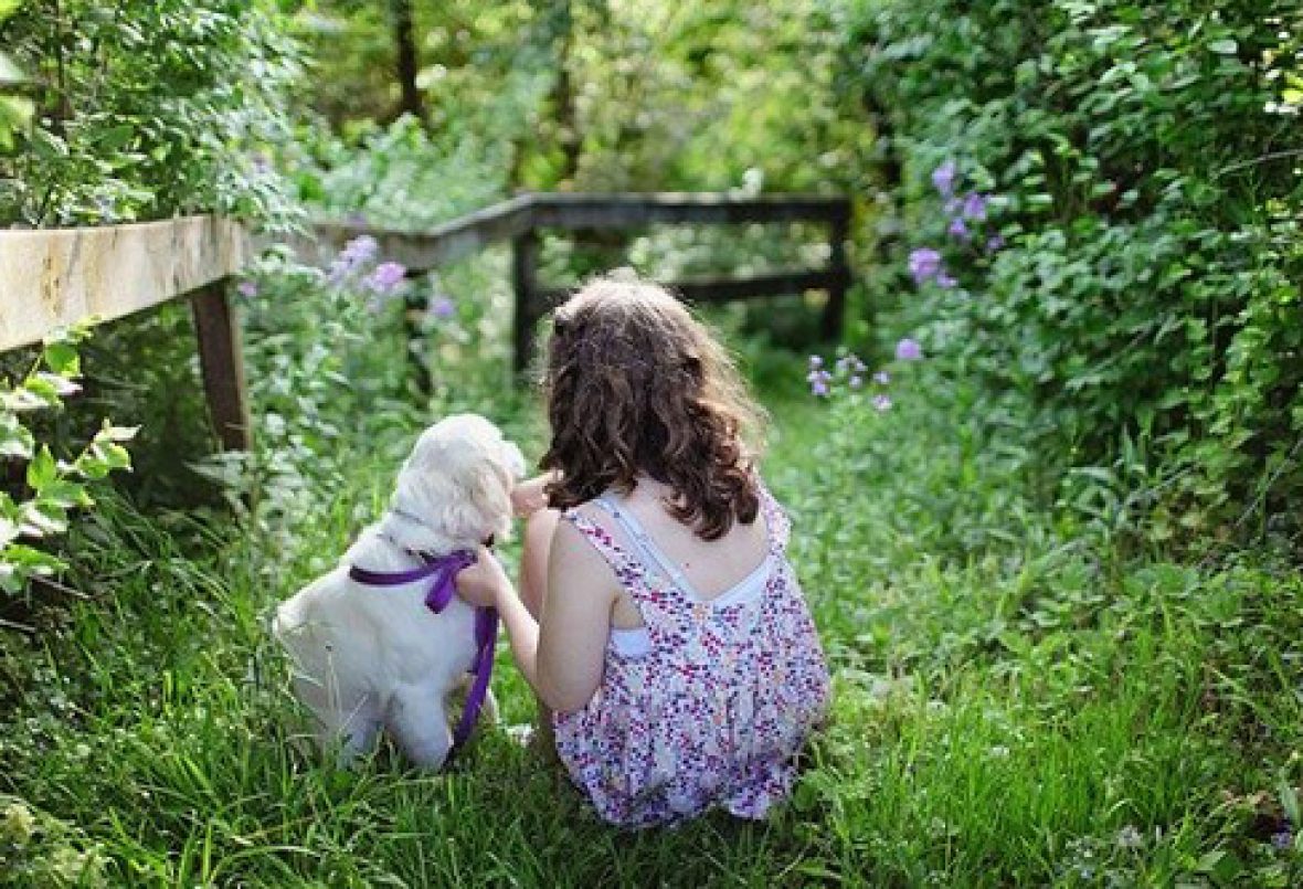 Six Points to Consider When Choosing a Pet For Your Child