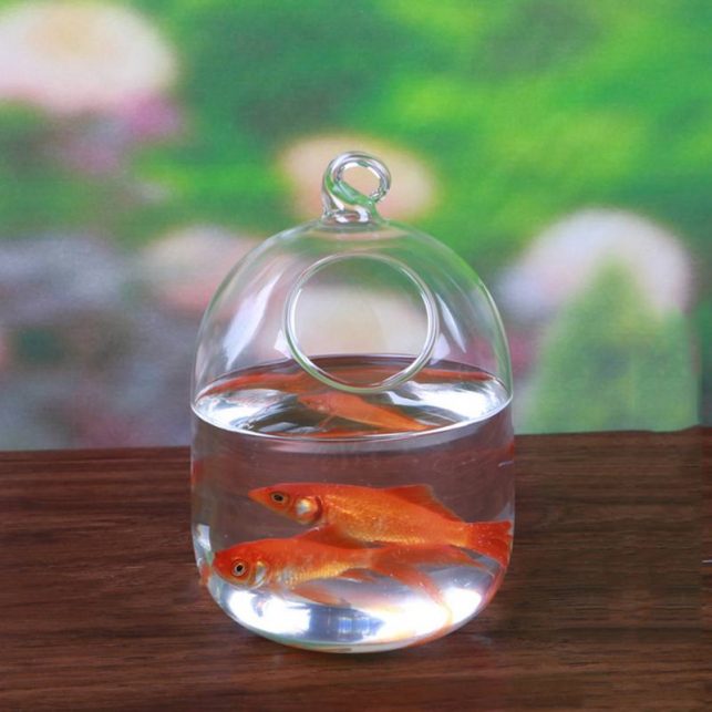 Mrosaa Glass Hanging Aquarium Fish Tank Bowl Flower Plant Vase Table Fish bowl Height 15cm tank for Small fish Pet Supplies