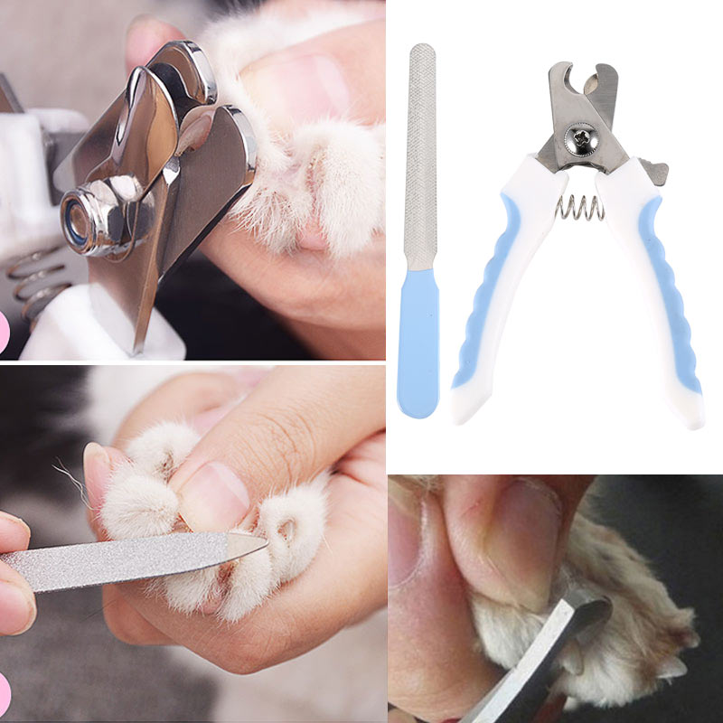 Hot-Pet-Dog-Cat-Stainless-Steel-Claw-Nail-Clippers-Cutter-File-Scissors-Dogs-Toe-Care-Trimmer-Nails-Pets-Grooming-Supplies-LXY9 Hot Pet Dog Cat Stainless Steel Claw Nail Clippers Cutter File Scissors Dogs Toe Care Trimmer Nails Pets Grooming Supplies LXY9
