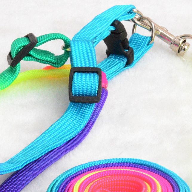 Colorful Rainbow Pet Dog Collar Harness Leash Soft Walking Harness Lead Colorful and Durable Traction Rope Nylon 120cm