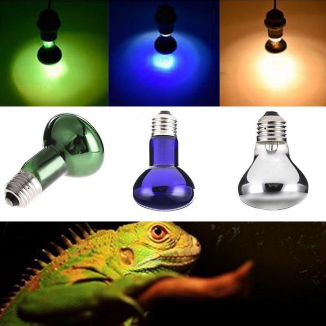 New Arrival 25/50/75/100W UV Reptile Lamp Bulb Turtle Basking UV Light Bulbs Heating Lamp For Amphibians Lizards Snake